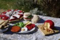 PLATO DE COMIDAS